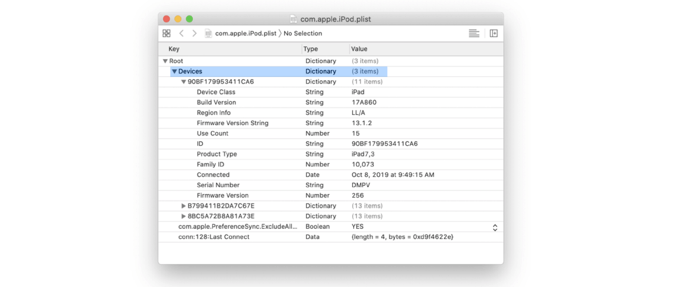 A screenshot displaying an iPad's pilst file.